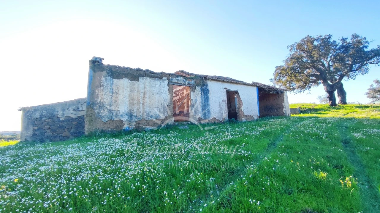 Terreno Misto para Venda em Santiago do Cacém, Santa Cruz e São Bartolomeu da Serra Foto 38