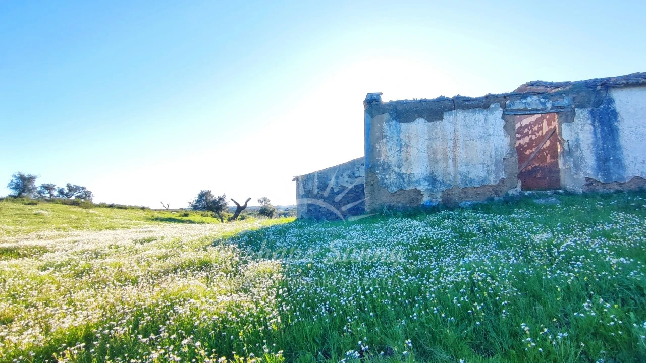 Terreno Misto para Venda em Santiago do Cacém, Santa Cruz e São Bartolomeu da Serra Foto 34