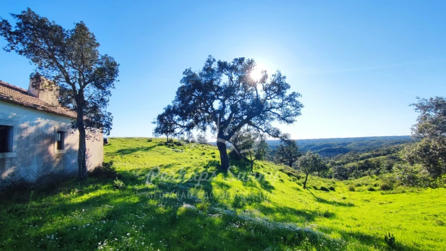 Terreno Misto para Venda em Santiago do Cacém, Santa Cruz e São Bartolomeu da Serra Foto 2