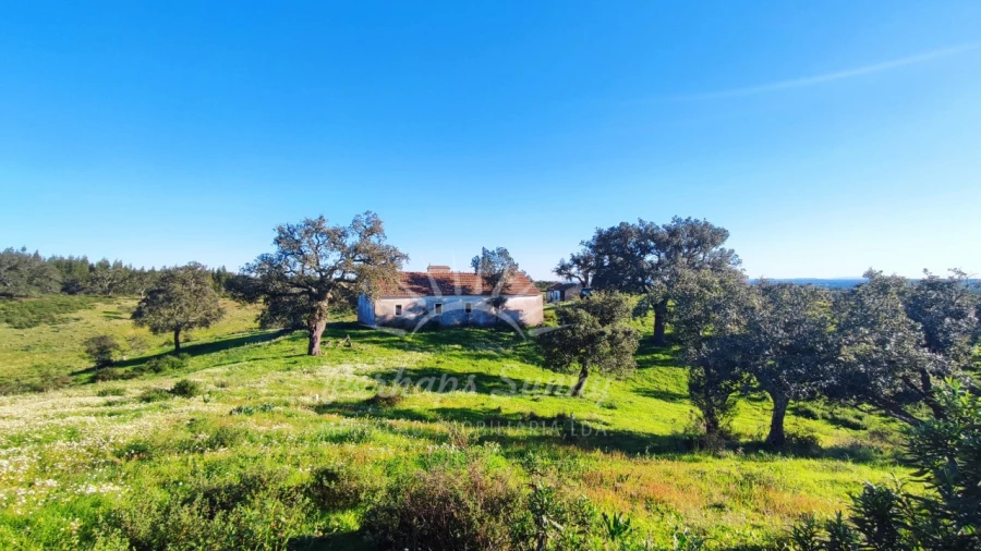 Terreno Misto para Venda em Santiago do Cacém, Santa Cruz e São Bartolomeu da Serra Foto 11