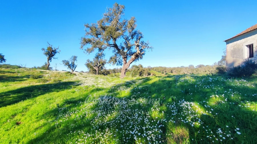 Terreno Misto para Venda em Santiago do Cacém, Santa Cruz e São Bartolomeu da Serra Foto 12