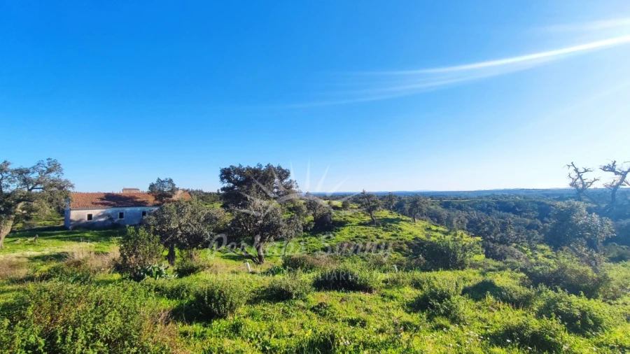 Terreno Misto para Venda em Santiago do Cacém, Santa Cruz e São Bartolomeu da Serra Foto 13