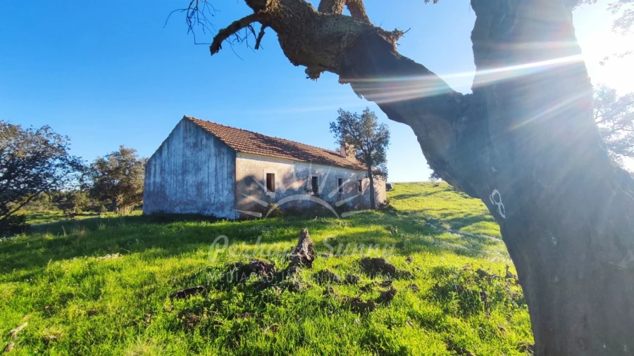 Terreno Misto para Venda em Santiago do Cacém, Santa Cruz e São Bartolomeu da Serra Foto 18