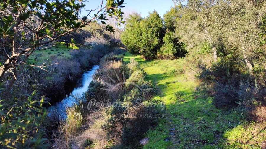 Terreno Misto para Venda em Santiago do Cacém, Santa Cruz e São Bartolomeu da Serra Foto 29