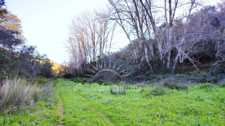 Terreno Misto para Venda em Santiago do Cacém, Santa Cruz e São Bartolomeu da Serra Foto 31