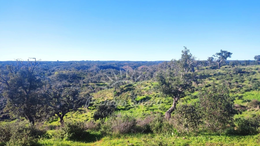Terreno Misto para Venda em Santiago do Cacém, Santa Cruz e São Bartolomeu da Serra Foto 33