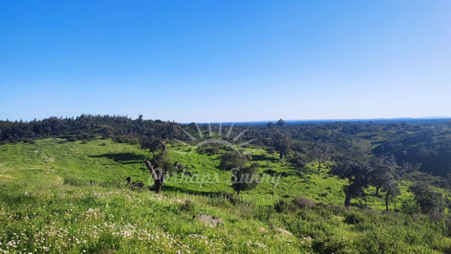 Terreno Misto para Venda em Santiago do Cacém, Santa Cruz e São Bartolomeu da Serra Foto 35