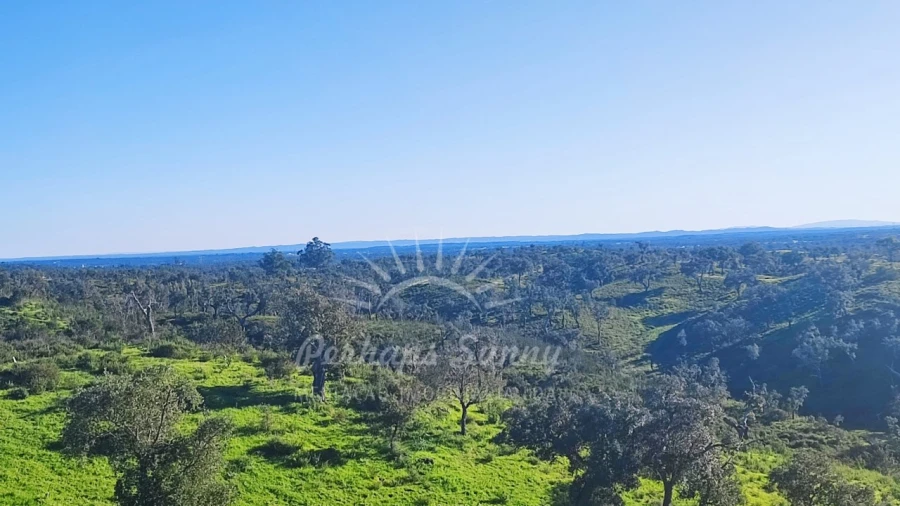 Terreno Misto para Venda em Santiago do Cacém, Santa Cruz e São Bartolomeu da Serra Foto 30