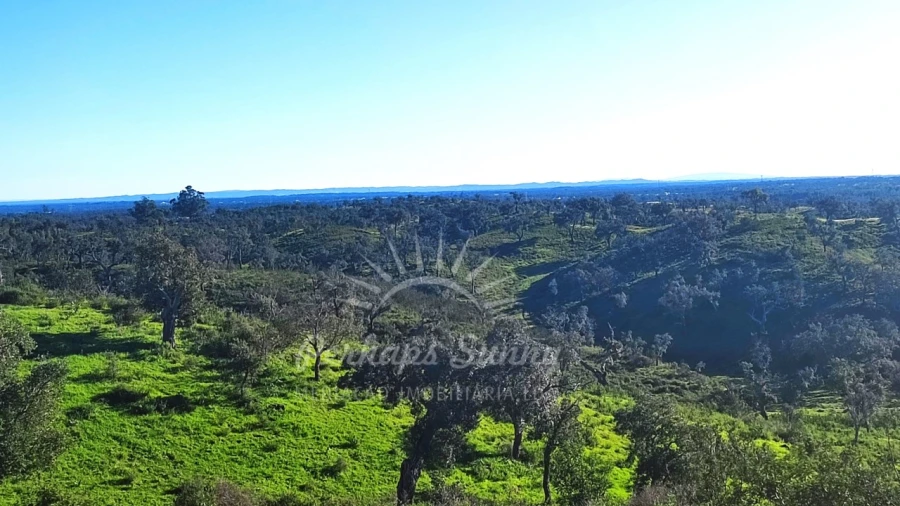 Terreno Misto para Venda em Santiago do Cacém, Santa Cruz e São Bartolomeu da Serra Foto 36
