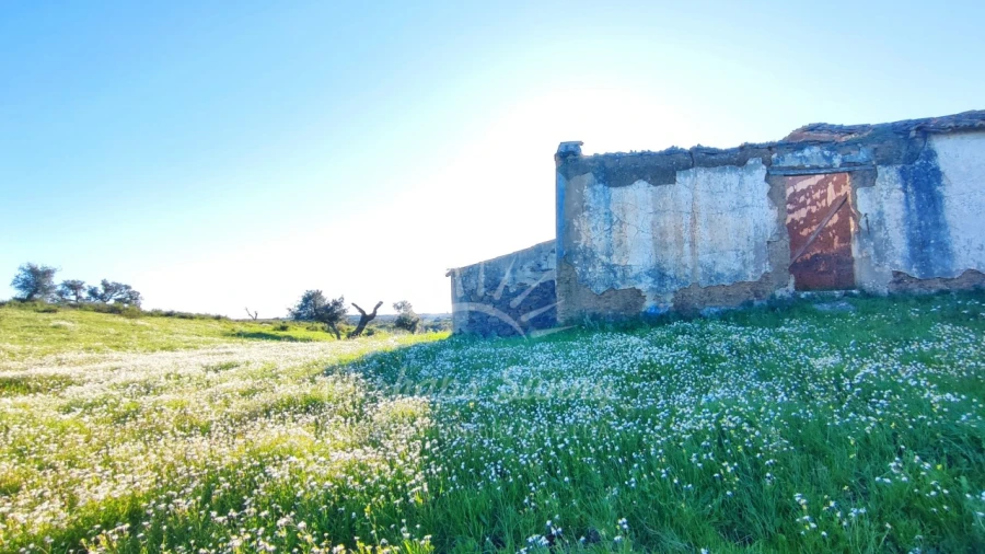 Terreno Misto para Venda em Santiago do Cacém, Santa Cruz e São Bartolomeu da Serra Foto 34