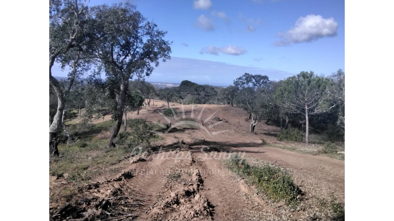 Terreno Agricola ou Rústico para Venda em Santiago do Cacém, Santa Cruz e São Bartolomeu da Serra Foto 4
