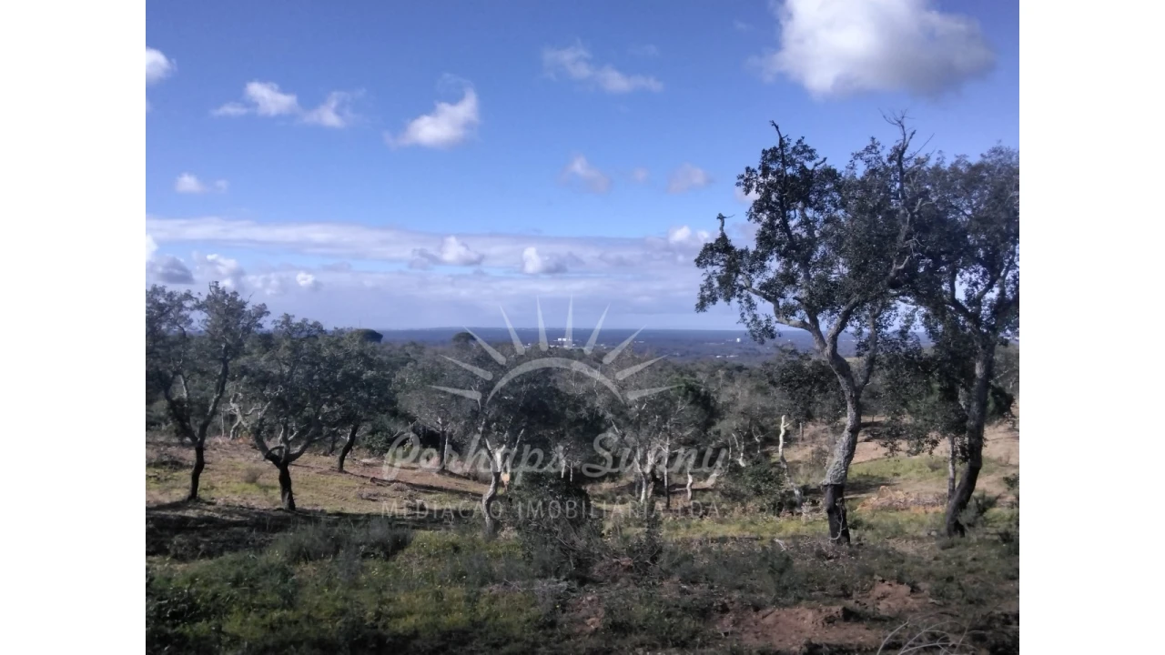 Terreno Agricola ou Rústico para Venda em Santiago do Cacém, Santa Cruz e São Bartolomeu da Serra Foto 1
