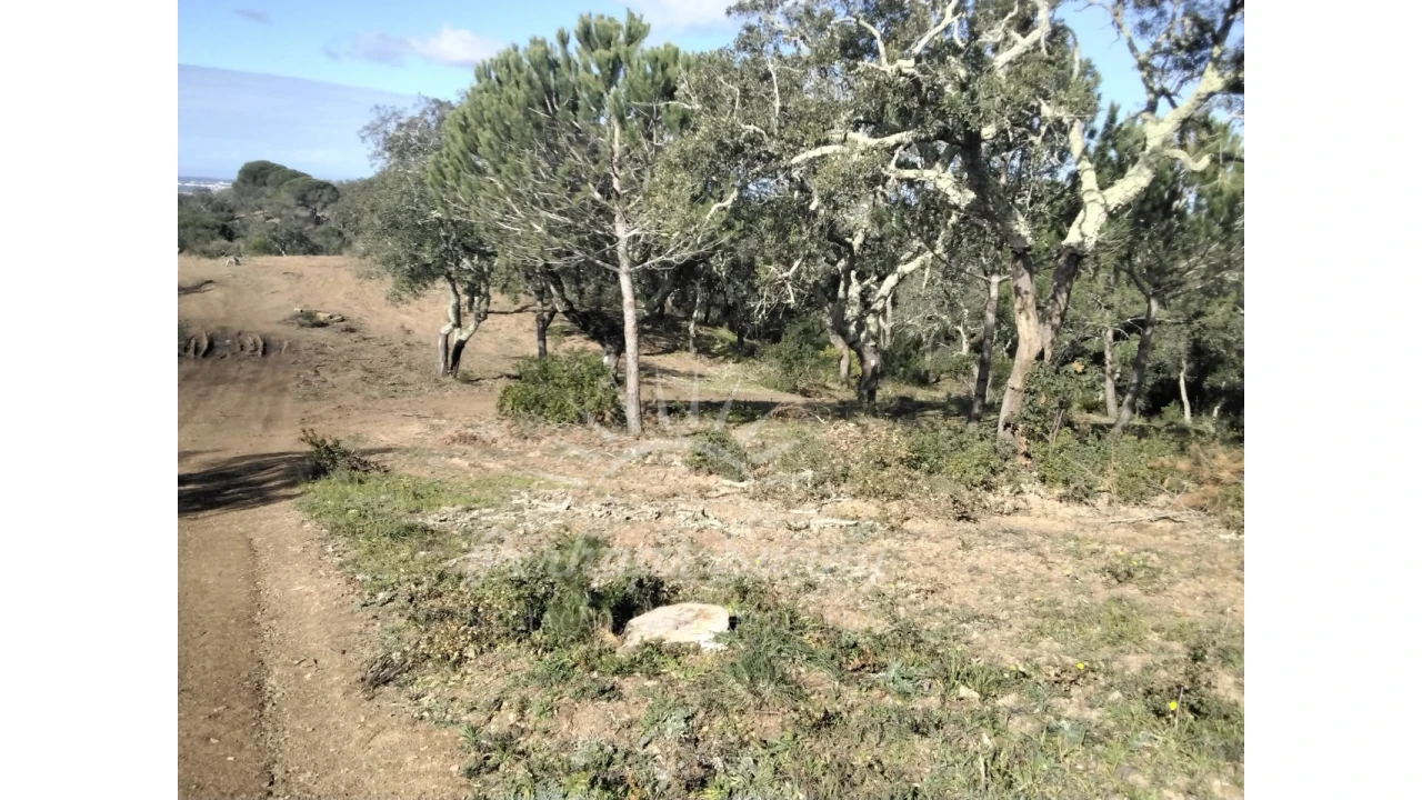 Terreno Agricola ou Rústico para Venda em Santiago do Cacém, Santa Cruz e São Bartolomeu da Serra Foto 7