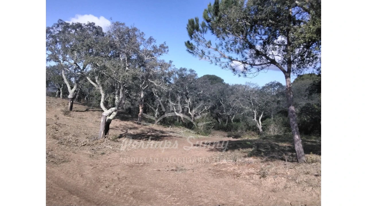 Terreno Agricola ou Rústico para Venda em Santiago do Cacém, Santa Cruz e São Bartolomeu da Serra Foto 9