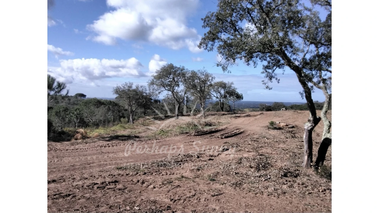 Terreno Agricola ou Rústico para Venda em Santiago do Cacém, Santa Cruz e São Bartolomeu da Serra Foto 17