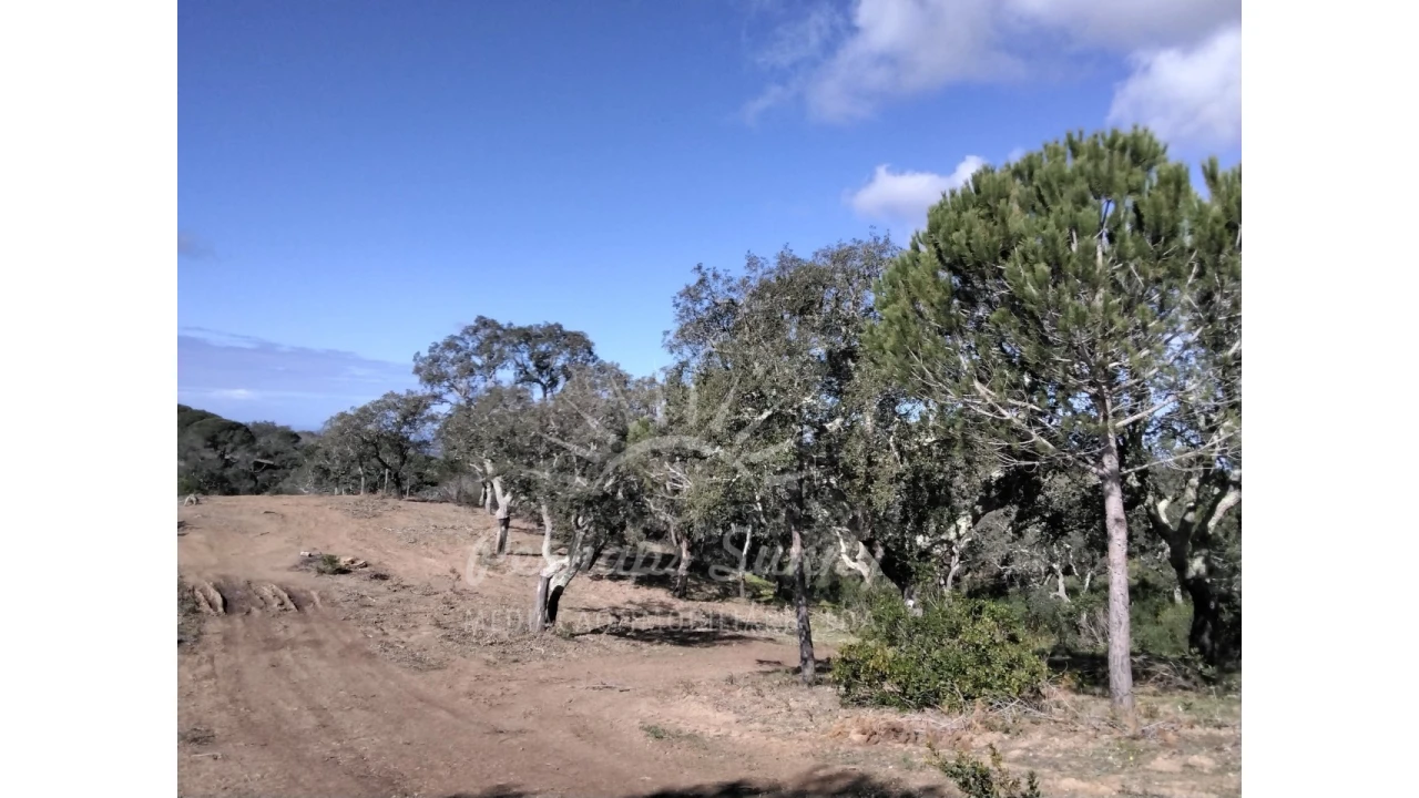 Terreno Agricola ou Rústico para Venda em Santiago do Cacém, Santa Cruz e São Bartolomeu da Serra Foto 19