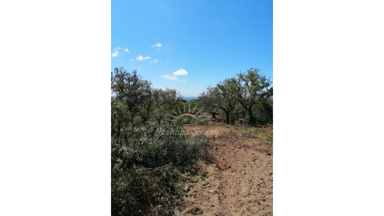 Terreno Agricola ou Rústico para Venda em Santiago do Cacém, Santa Cruz e São Bartolomeu da Serra Foto 21