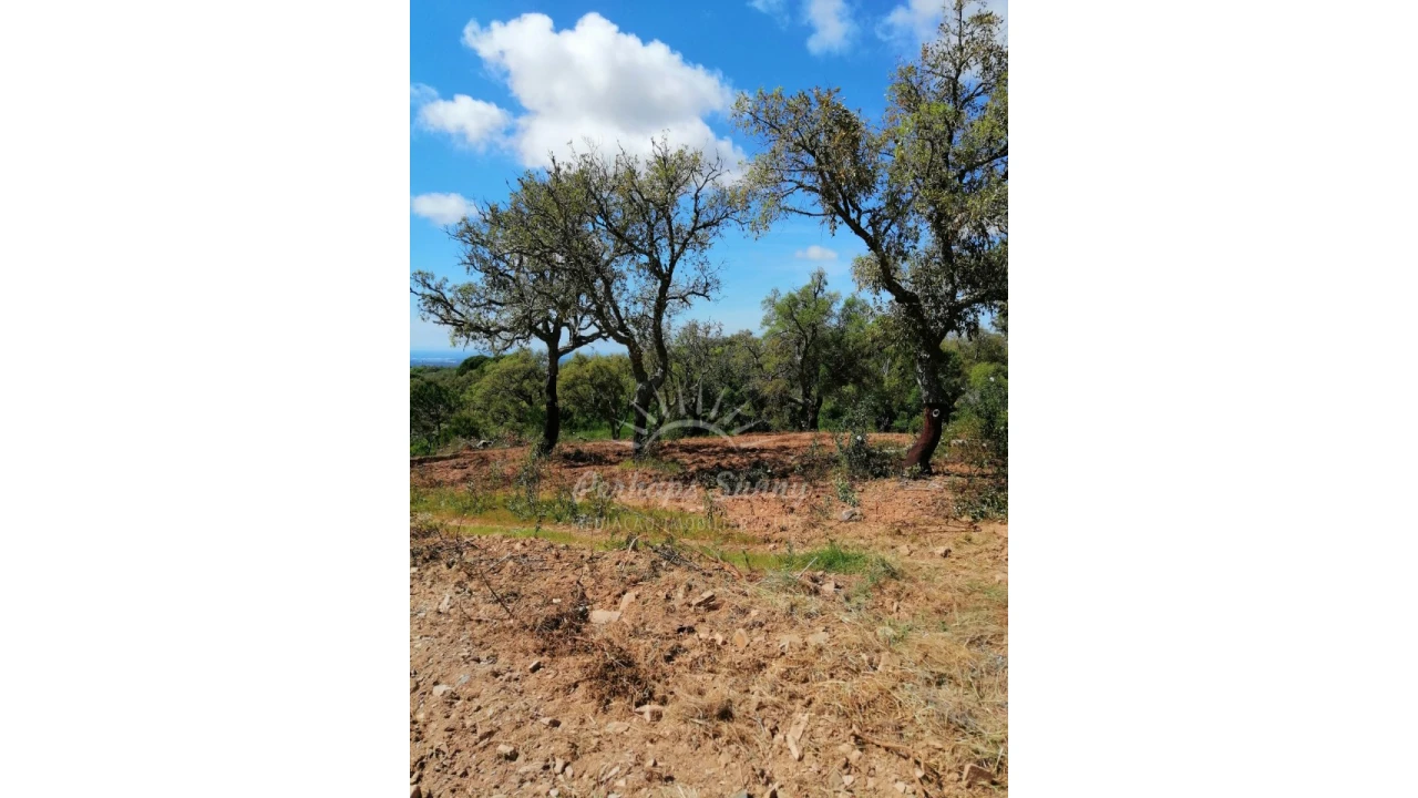 Terreno Agricola ou Rústico para Venda em Santiago do Cacém, Santa Cruz e São Bartolomeu da Serra Foto 22