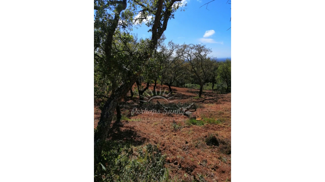 Terreno Agricola ou Rústico para Venda em Santiago do Cacém, Santa Cruz e São Bartolomeu da Serra Foto 24