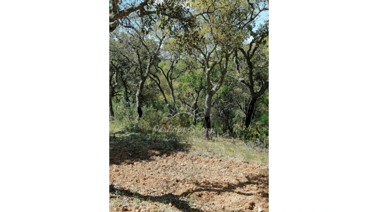 Terreno Agricola ou Rústico para Venda em Santiago do Cacém, Santa Cruz e São Bartolomeu da Serra Foto 32