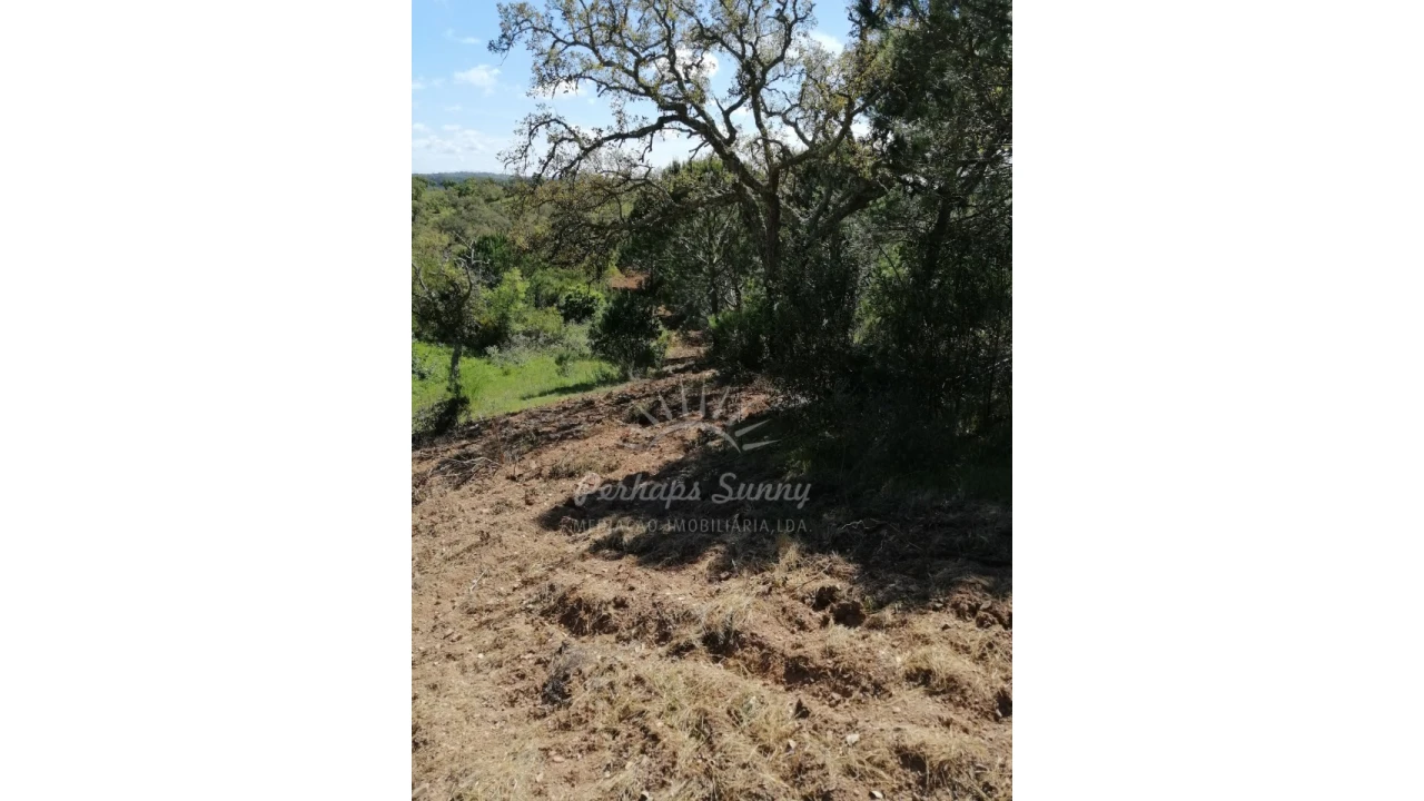 Terreno Agricola ou Rústico para Venda em Santiago do Cacém, Santa Cruz e São Bartolomeu da Serra Foto 36