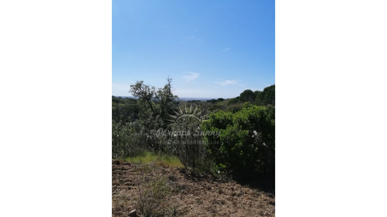 Terreno Agricola ou Rústico para Venda em Santiago do Cacém, Santa Cruz e São Bartolomeu da Serra Foto 37