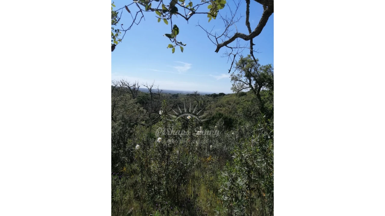Terreno Agricola ou Rústico para Venda em Santiago do Cacém, Santa Cruz e São Bartolomeu da Serra Foto 38