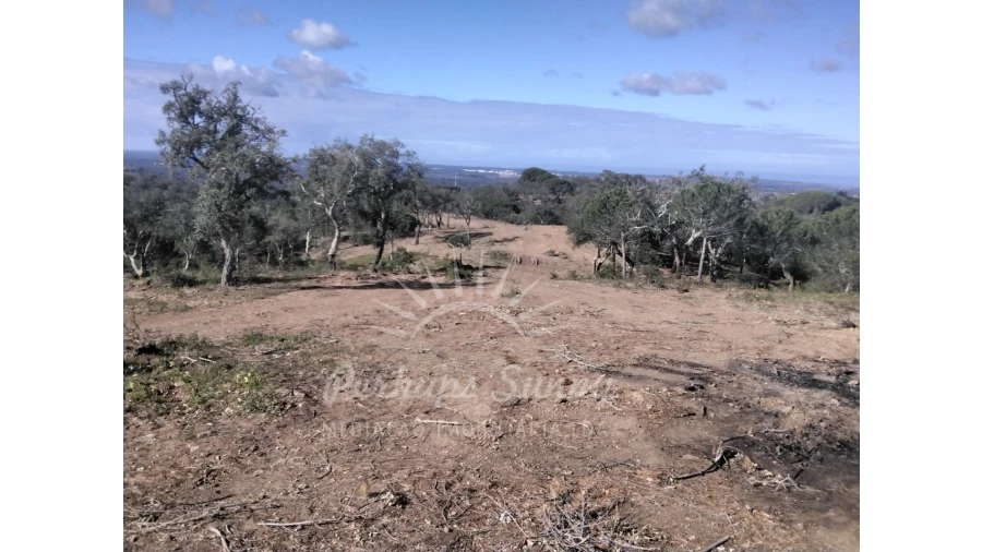 Terreno Agricola ou Rústico para Venda em Santiago do Cacém, Santa Cruz e São Bartolomeu da Serra Foto 6