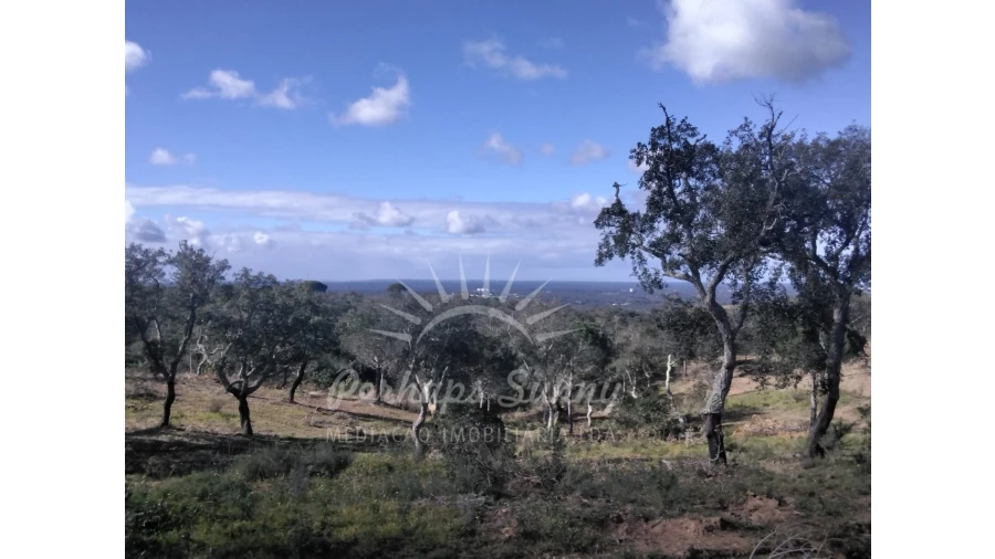 Terreno Agricola ou Rústico para Venda em Santiago do Cacém, Santa Cruz e São Bartolomeu da Serra Foto 1