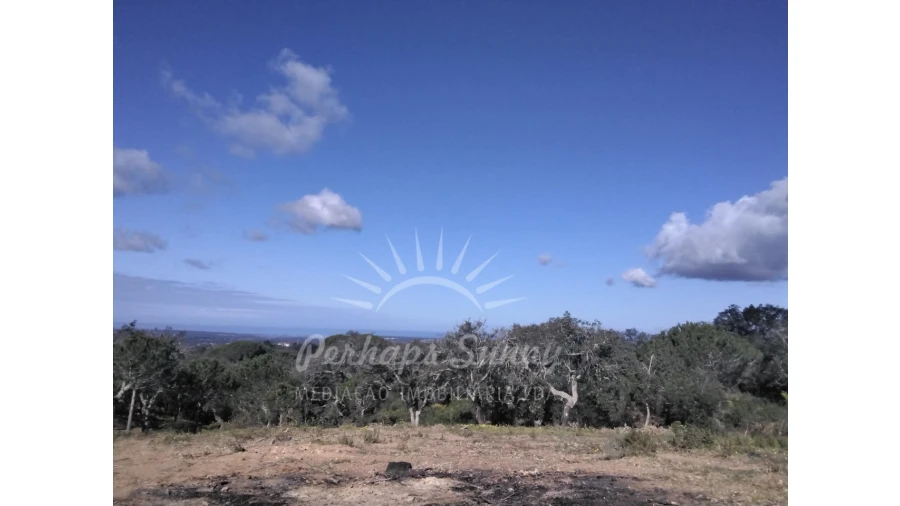 Terreno Agricola ou Rústico para Venda em Santiago do Cacém, Santa Cruz e São Bartolomeu da Serra Foto 5