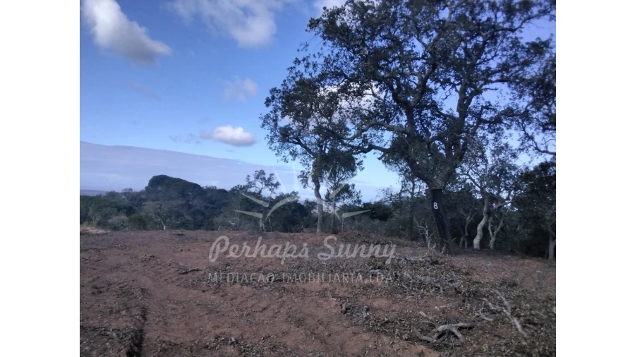 Terreno Agricola ou Rústico para Venda em Santiago do Cacém, Santa Cruz e São Bartolomeu da Serra Foto 10