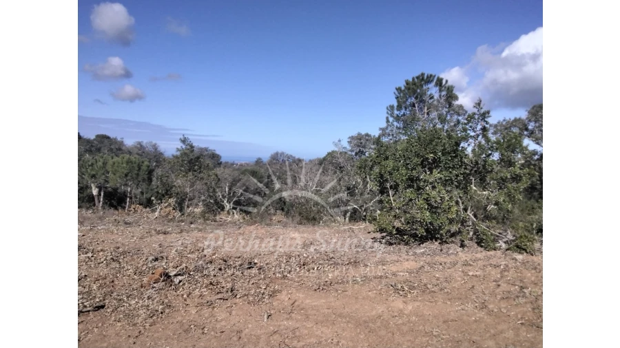 Terreno Agricola ou Rústico para Venda em Santiago do Cacém, Santa Cruz e São Bartolomeu da Serra Foto 14