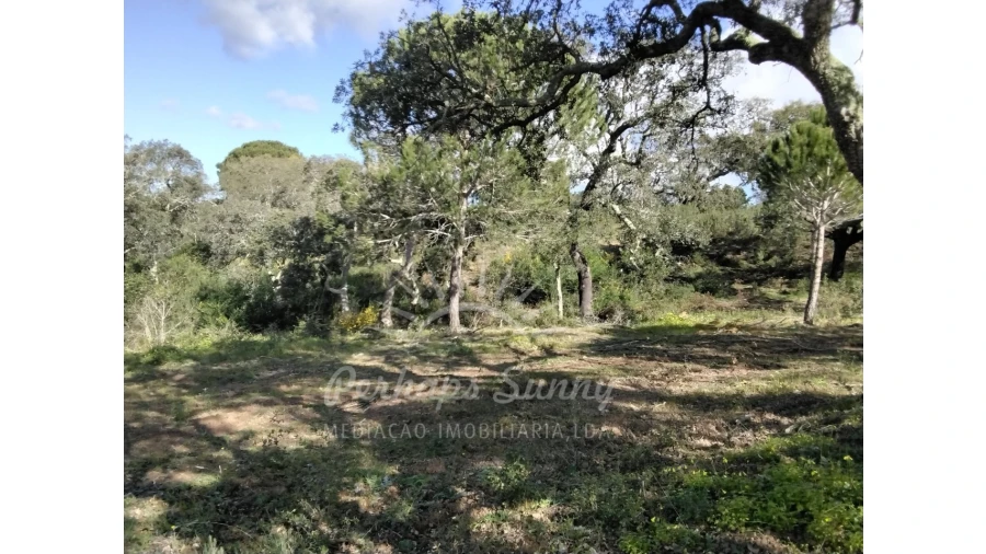 Terreno Agricola ou Rústico para Venda em Santiago do Cacém, Santa Cruz e São Bartolomeu da Serra Foto 2