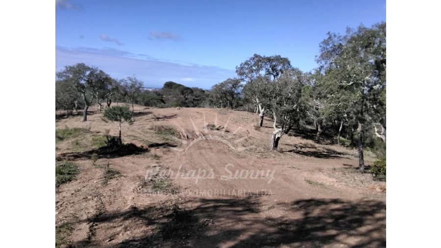 Terreno Agricola ou Rústico para Venda em Santiago do Cacém, Santa Cruz e São Bartolomeu da Serra Foto 18