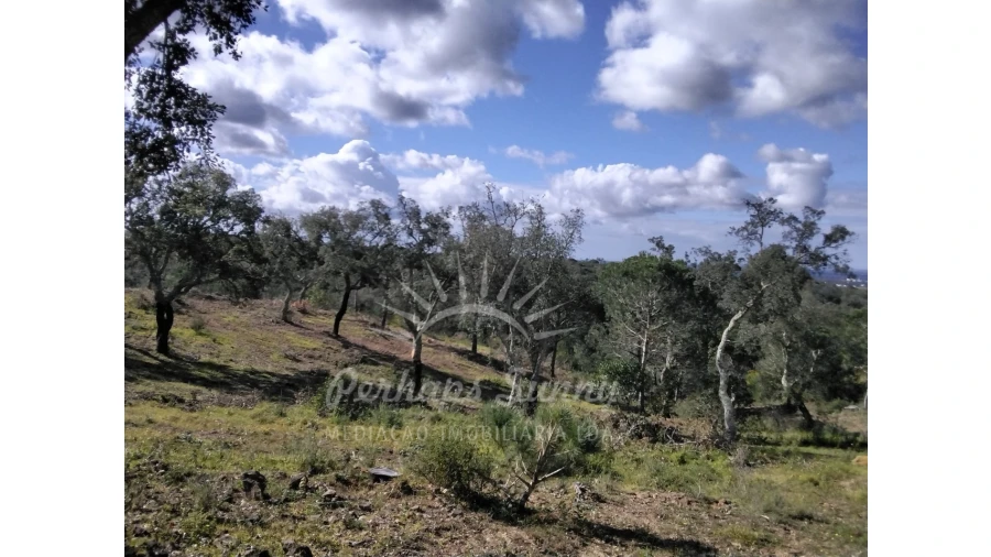 Terreno Agricola ou Rústico para Venda em Santiago do Cacém, Santa Cruz e São Bartolomeu da Serra Foto 20
