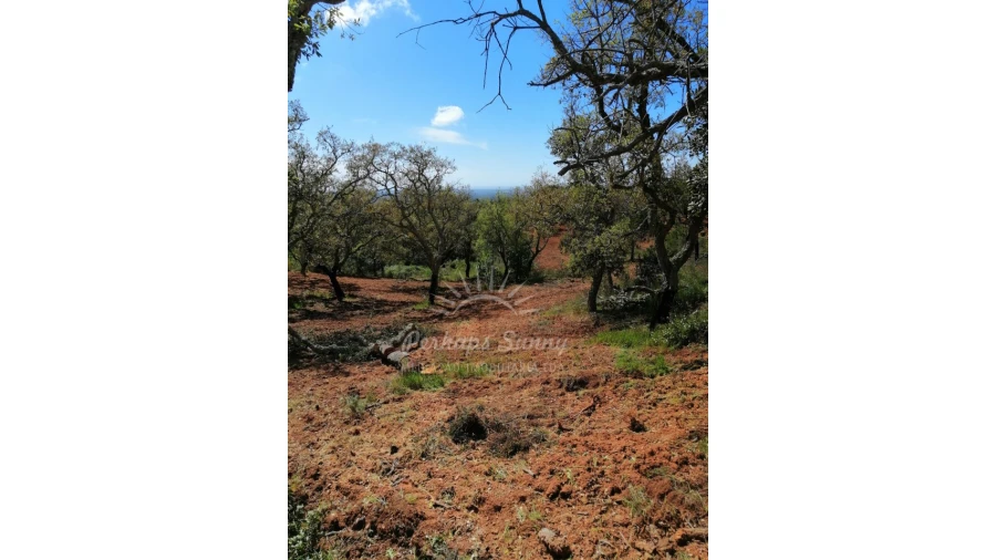 Terreno Agricola ou Rústico para Venda em Santiago do Cacém, Santa Cruz e São Bartolomeu da Serra Foto 23