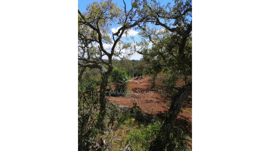 Terreno Agricola ou Rústico para Venda em Santiago do Cacém, Santa Cruz e São Bartolomeu da Serra Foto 25