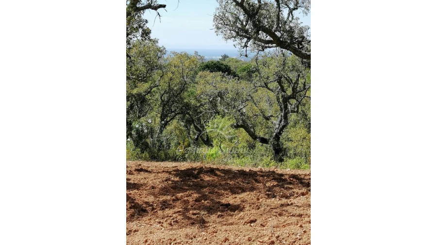 Terreno Agricola ou Rústico para Venda em Santiago do Cacém, Santa Cruz e São Bartolomeu da Serra Foto 27