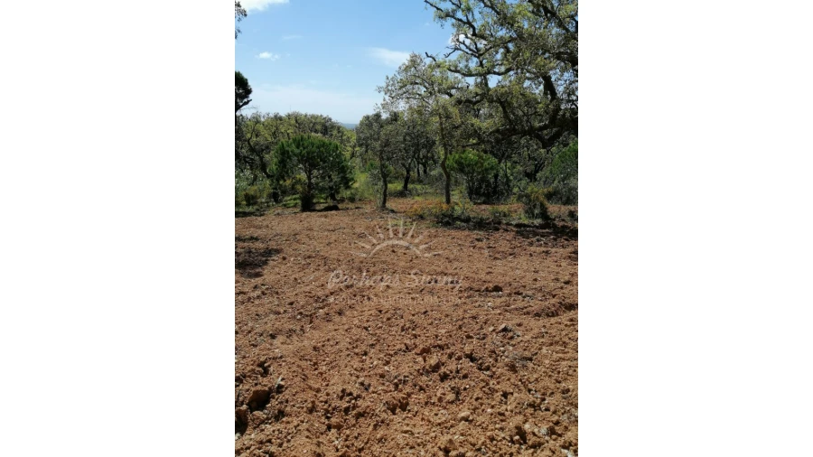 Terreno Agricola ou Rústico para Venda em Santiago do Cacém, Santa Cruz e São Bartolomeu da Serra Foto 28