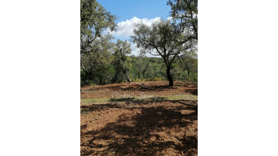 Terreno Agricola ou Rústico para Venda em Santiago do Cacém, Santa Cruz e São Bartolomeu da Serra Foto 30