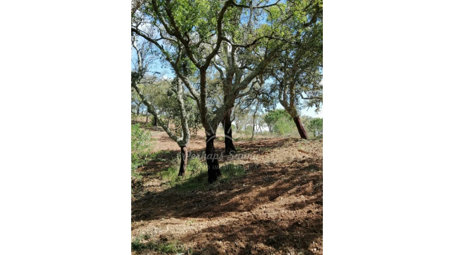 Terreno Agricola ou Rústico para Venda em Santiago do Cacém, Santa Cruz e São Bartolomeu da Serra Foto 35