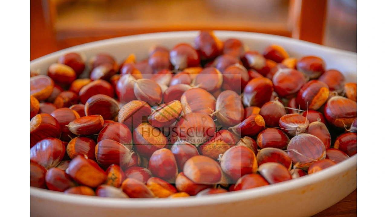 Quinta T5 para Venda em Sabugal e Aldeia de Santo António Foto 10