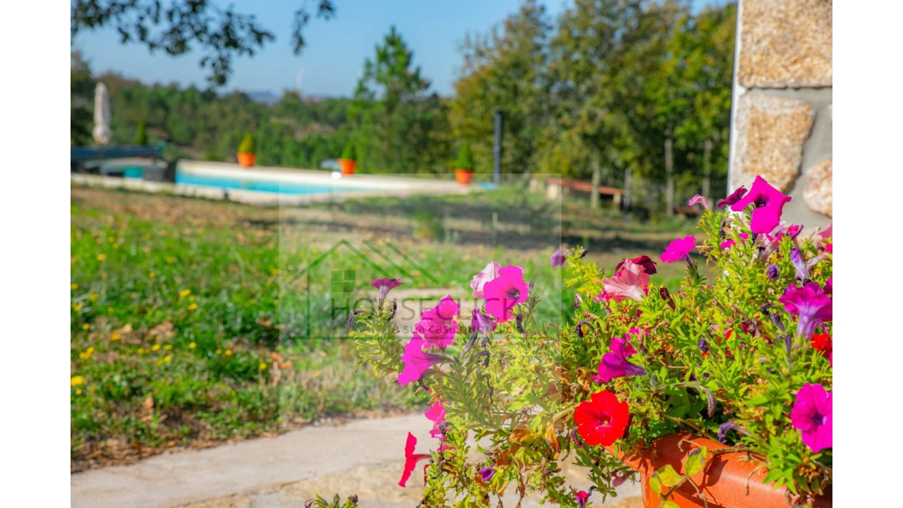 Quinta T5 para Venda em Sabugal e Aldeia de Santo António Foto 11