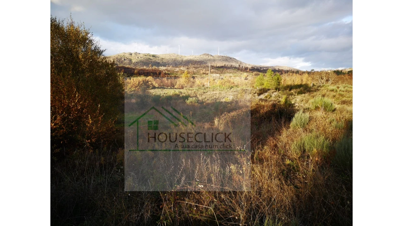 Terreno para Venda em Santo Estêvão e Moita Foto 2