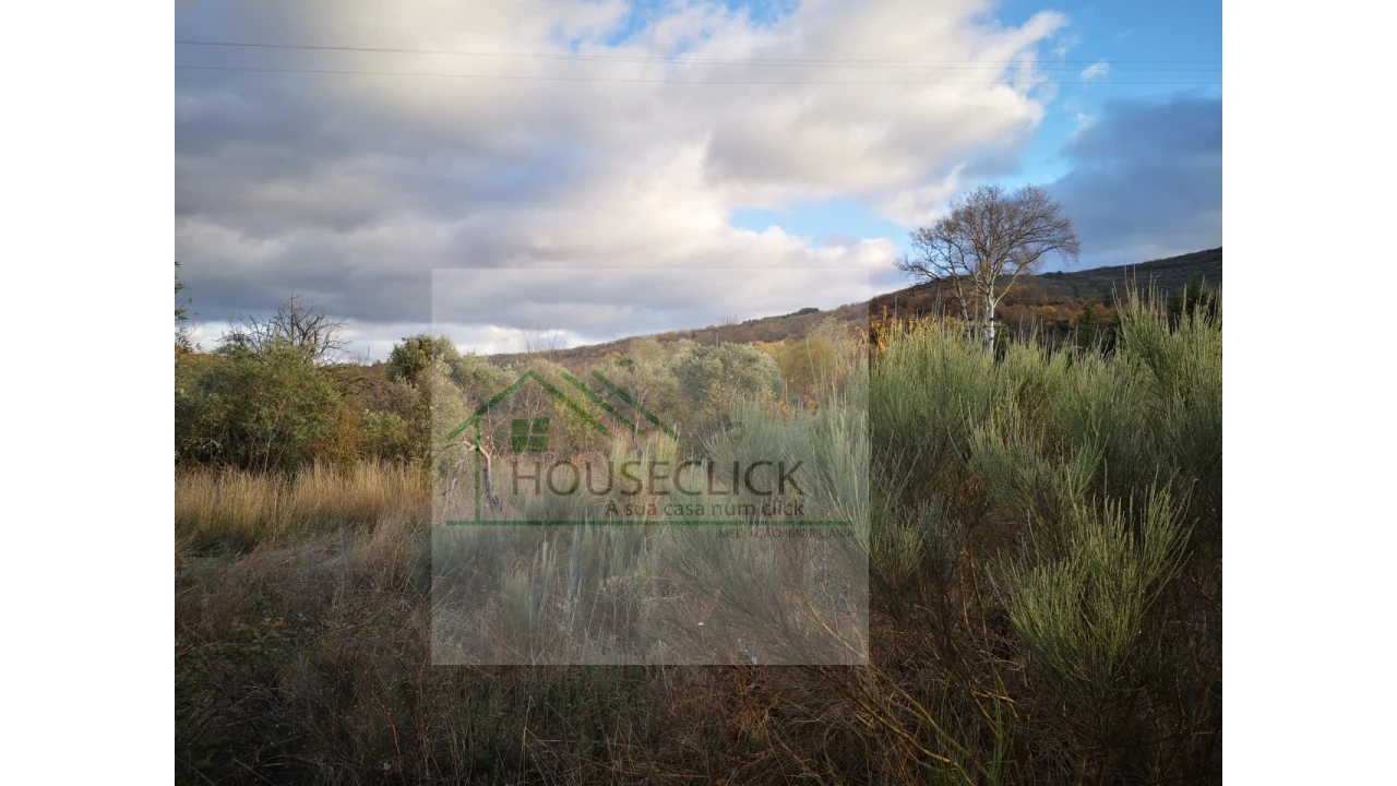 Terreno para Venda em Santo Estêvão e Moita Foto 3