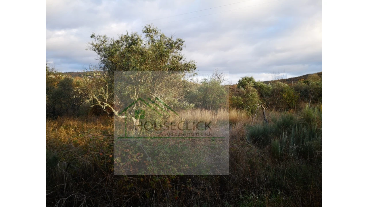 Terreno para Venda em Santo Estêvão e Moita Foto 4
