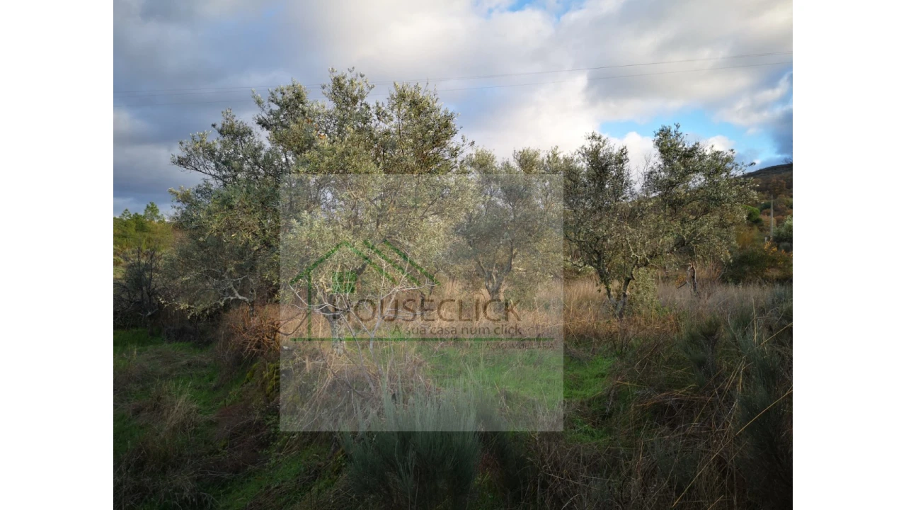 Terreno para Venda em Santo Estêvão e Moita Foto 5