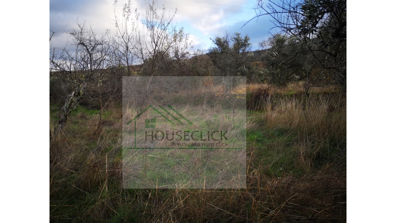 Terreno para Venda em Santo Estêvão e Moita Foto 8
