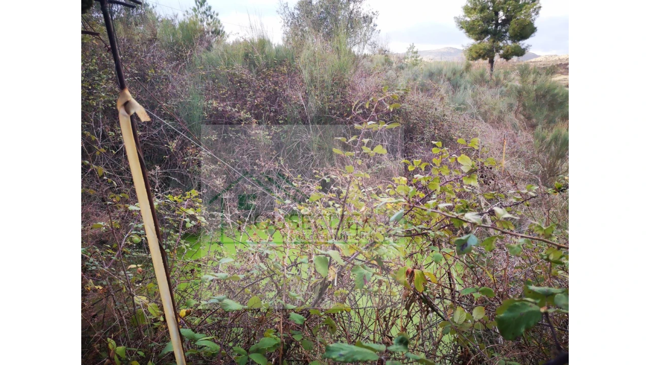 Terreno para Venda em Santo Estêvão e Moita Foto 9