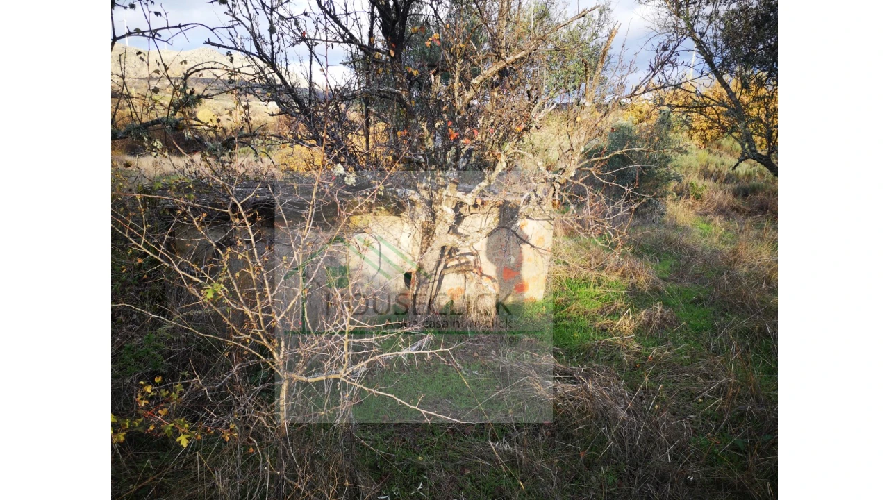 Terreno para Venda em Santo Estêvão e Moita Foto 10